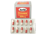 Cosamine 500 (ໂກຊາມີນ)